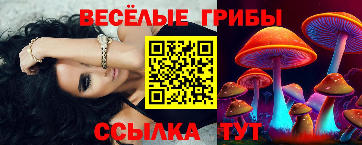 Галлюциногенные грибы Magic Shrooms  Псилоцибиновые грибы мухоморы  Кандалакша  Вход с VPN 