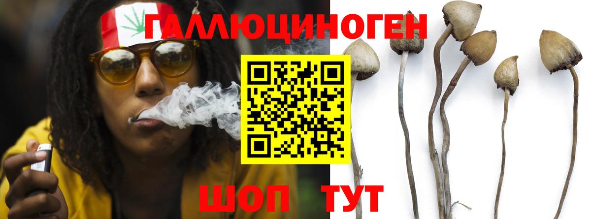 Меф МЯУ МЯУ  ЭКСТАЗИ  ГАШ  Кандалакша  Меф   Вход с VPN  Каннабис 